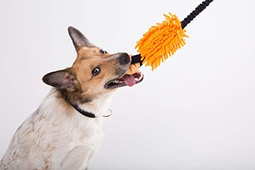 Dingo Dog tug of war toy for outdoor play traning agility,cuddly and shaggy plush tug toy for motivation and fun,soft nubby-textured noodle plush with bungee shock absorber and rubber ball orange15586