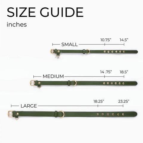 Two Tails Pet Company Cactus Vegan Leather Dog Collar, Adjustable Pet Collar With Gold Hardware and D Rings for Leash and ID Tag for Dogs and Puppies, Easy to Clean & Eco Friendly, Caramel, Size Small