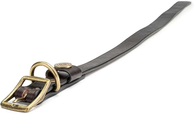 King Buck Premium Leather D Ring Dog Collar, Leather, L/XL