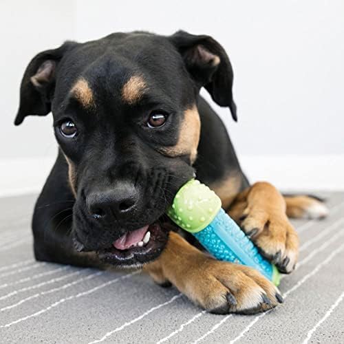 KONG CoreStrength Bone - Dog Dental Chew Toy - Durable, Multi-Layered Dog Toy for Enrichment Play & Dental Care - with Textured Body for Teeth Cleaning - for Medium/Large Dogs (Pack of 2)