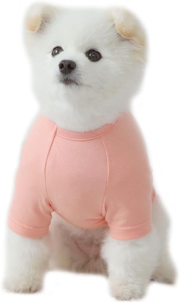 Dog Shirt for Small Dogs Plain T-Shirts Soft Breathable Dog Cotton Shirt pet Clothes (X-Small, Peach)