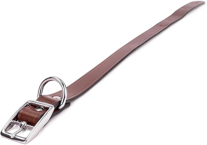 King Buck Leather Dog Collar with D Ring, Leather, Meduim