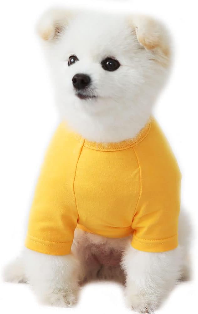 Dog Shirt for Small Dogs Plain T-Shirts Soft Breathable Dog Cotton Shirt pet Clothes (Large, Yellow)