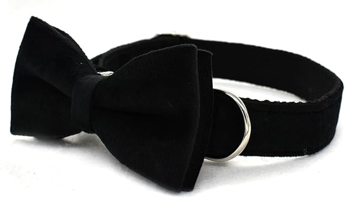 Dog Collar Custom Personalized Engraved Name and Phone Number for Puppy Small Medium Large Pets (XL, Black)