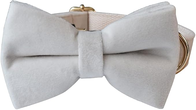 Dog Collar Custom Personalized Engraved Name and Phone Number for Puppy Small Medium Large Pets (L, Cream)