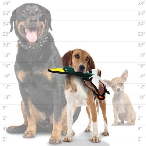TUFFY - World's Tuffest Soft Dog Toy - Barnyard Duck - Squeakers - Multiple Layers. Made Durable, Strong & Tough. Interactive Play (Tug, Toss & Fetch). Machine Washable & Floats. (Junior 2 Pack)