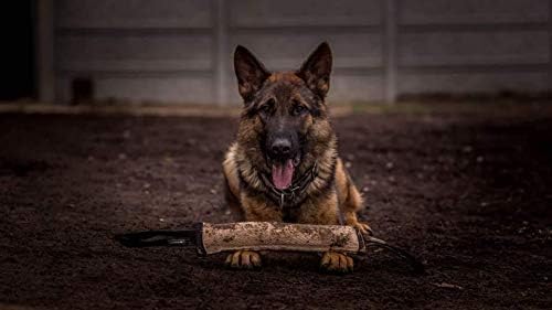 Dingo Gear Tug Toy for Dog Training Agility Tug of War, Jute Dog Bumper with one Handle, Dog Bite Pillow for Aggressive Chewers, 6" S00143
