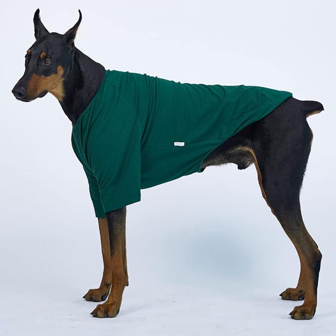 Dog Shirt for Small Dogs Plain T-Shirts Soft Breathable Dog Cotton Shirt pet Clothes (2X-Large, Green)