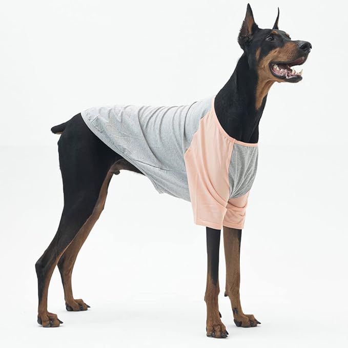 Dog Shirt for Small and Large Dogs Raglan Cotton T-Shirts Soft Breathable Dog Shirts pet Clothes Gray Series (2X-Large, Gray/Peach)