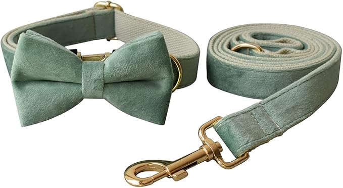 Dog Collar Custom Personalized Engraved Name and Phone Number for Puppy Small Medium Large Pets (XL, Fruit Green)