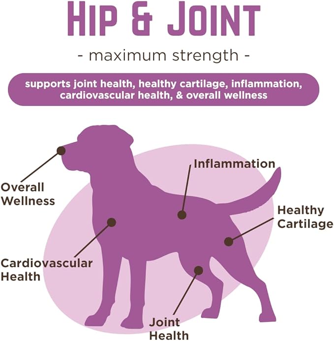 VetPro Complete Dr. Joseph's Peanut Butter Hip and Joint Dog Chews, 60 Count, Pain and Inflammation Relief with Glucosamine, Chondroitin, MSM, Turmeric, Vitamin C, Omega 3, Treats Hip Dysplasia