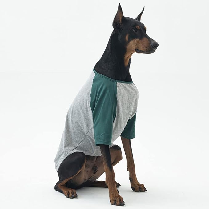 Dog Shirt for Small and Large Dogs Raglan Cotton T-Shirts Soft Breathable Dog Shirts pet Clothes Gray Series (3X-Large, Gray/Green)