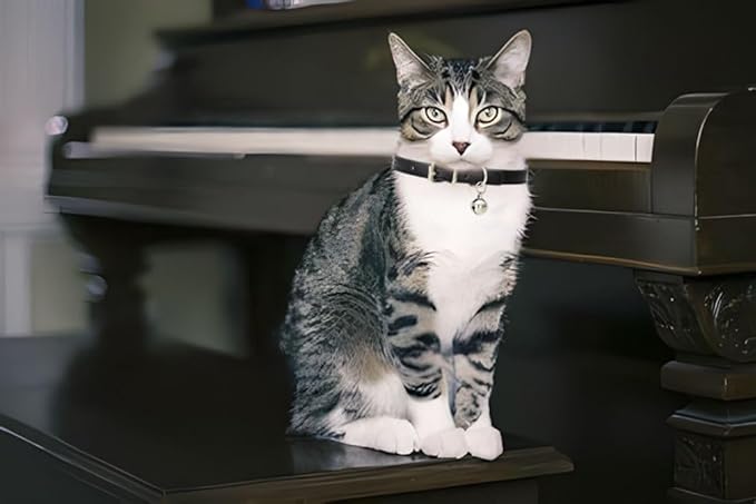 XS Dog Collar with Bell, Soft Pu Leather Cat Collars Adjustable Buckle for XXS Extra Small Medium Tiny Female Male Boys Girls Pets Puppy Kitten Teacup Yorkie Khaki X-Small