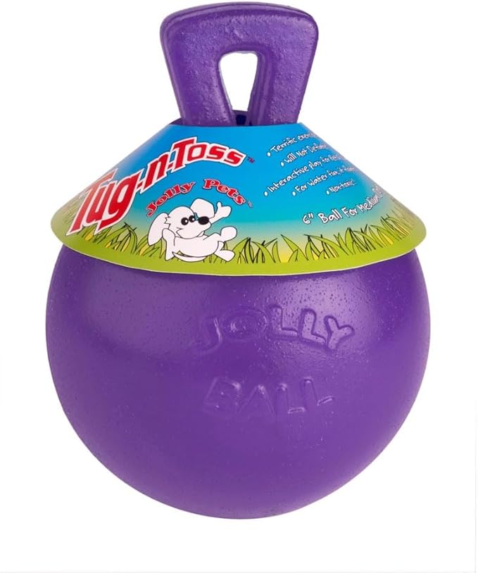 Jolly Pets Tug-n-Toss Heavy Duty Dog Toy Ball with Handle, 4.5 Inches/Small, Purple