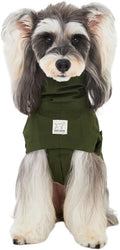 Waterproof Dog Raincoat, Hooded Raincoat for Dachshund Whippet Small Medium Large Dogs, Adjustable Dog Rain Coat Jacket (06(chest22-25'',back18-20.5''))