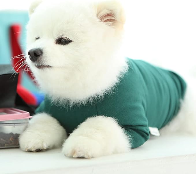 Dog Shirt for Small Dogs Plain T-Shirts Soft Breathable Dog Cotton Shirt pet Clothes (X-Small, Green)
