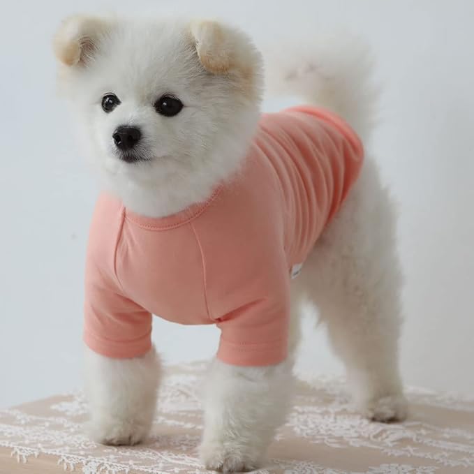 Dog Shirt for Small Dogs Plain T-Shirts Soft Breathable Dog Cotton Shirt pet Clothes (Medium, Peach)
