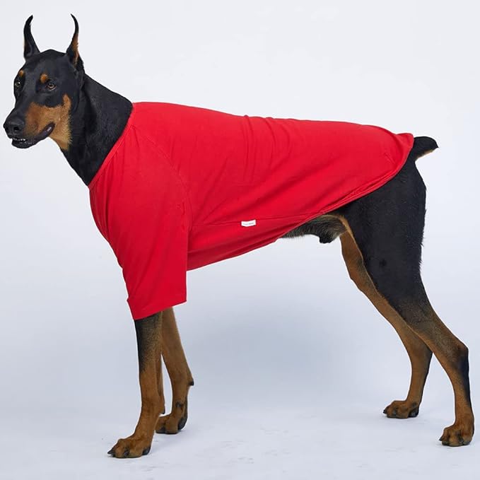 Dog Shirt for Small Dogs Plain T-Shirts Soft Breathable Dog Cotton Shirt pet Clothes (5X-Large, Red)