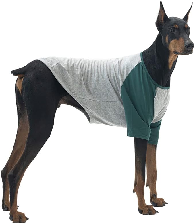 Dog Shirt for Small and Large Dogs Raglan Cotton T-Shirts Soft Breathable Dog Shirts pet Clothes Gray Series (4X-Large, Gray/Green)