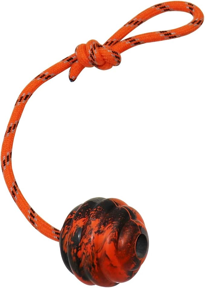 2Pcs Dog Training Ball on Rope - Exercise & Reward Toy for Dogs - Chew, Pull, Throw, Tug & Fetch - Belgian Malinois Gifts