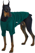 Dog Shirt for Small Dogs Plain T-Shirts Soft Breathable Dog Cotton Shirt pet Clothes (5X-Large, Green)