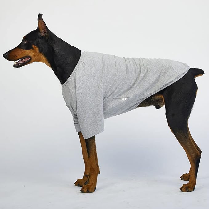 Dog Shirt for Small Dogs Plain T-Shirts Soft Breathable Dog Cotton Shirt pet Clothes (X-Large, Gray)