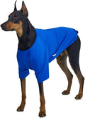 Dog Shirt for Small Dogs Plain T-Shirts Soft Breathable Dog Cotton Shirt pet Clothes (3X-Large, Blue)