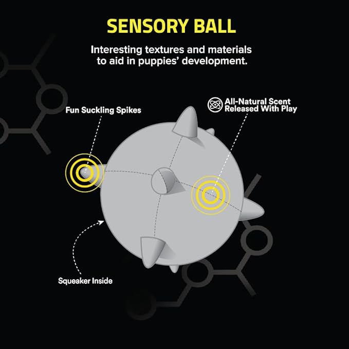 Playology Dog Toys | Puppy Toy Plush Sensory Ball for Dogs and Puppies for Dogs and Puppies | Jumbo Beef Scented Toy - Easy to Clean and Made from Non Toxic Materials