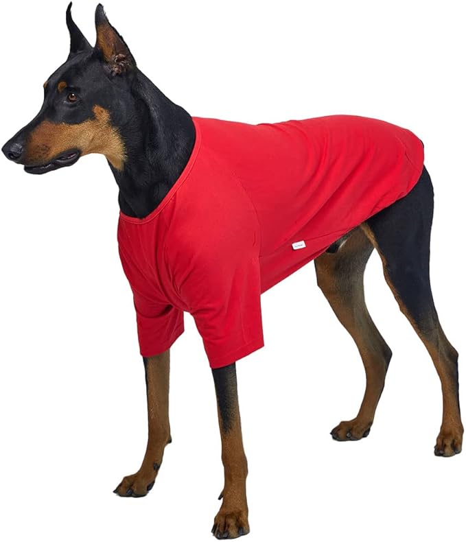 Dog Shirt for Small Dogs Plain T-Shirts Soft Breathable Dog Cotton Shirt pet Clothes (5X-Large, Red)