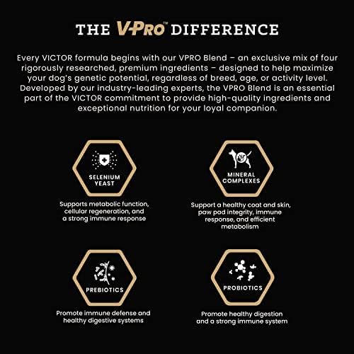 VICTOR Super Premium Dog Food – Professional Kibble Food – Super Premium Kibble with 26% Protein – Gluten-Free with Beef, Chicken & Pork Meals – for High Energy and Active Dogs & Puppies, 5lbs