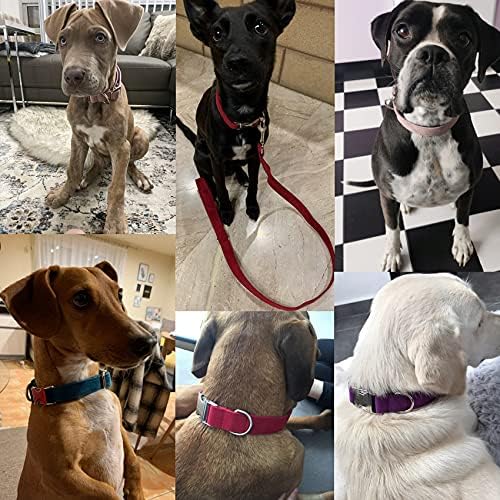 Dog Collar Custom Personalized Engraved Name and Phone Number for Puppy Small Medium Large Pets (M, Red)