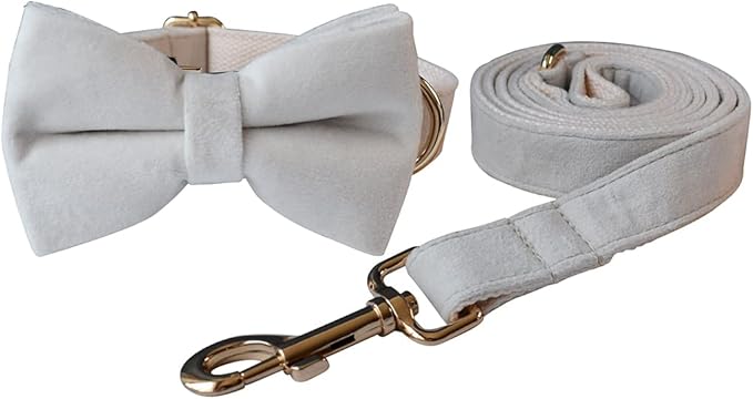 Dog Collar Custom Personalized Engraved Name and Phone Number for Puppy Small Medium Large Pets (XL, Cream)