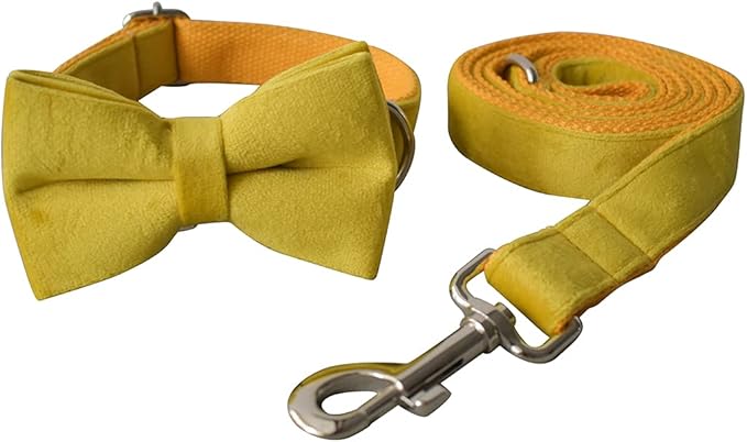 Dog Collar Custom Personalized Engraved Name and Phone Number for Puppy Small Medium Large Pets (XL, Yellow)
