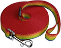 Dog/Puppy Obedience Recall Training Agility Lead -15ft 20ft 30ft 40ft 50ft Training Leash - Great for Play, Camping, or Backyard - Rainbow 15ft
