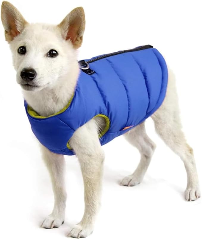 Gooby Padded Vest Dog Jacket - Solid Blue, X-Small - Warm Zip Up Vest Fleece Jacket with Dual D Ring Leash Water Resistant for Small to Medium Dogs