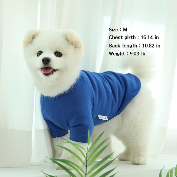 Dog Shirt for Small Dogs Plain T-Shirts Soft Breathable Dog Cotton Shirt pet Clothes (Medium, Blue)