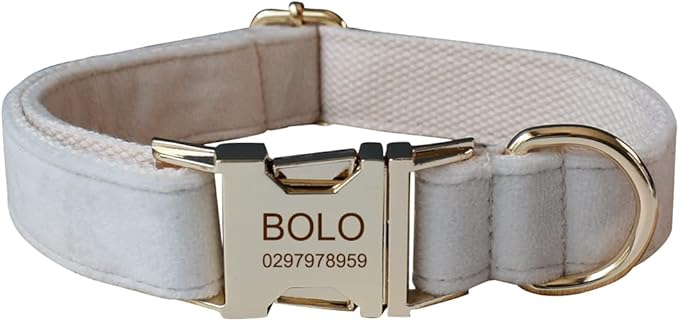 Dog Collar Custom Personalized Engraved Name and Phone Number for Puppy Small Medium Large Pets (XL, Cream)