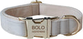 Dog Collar Custom Personalized Engraved Name and Phone Number for Puppy Small Medium Large Pets (XL, Cream)