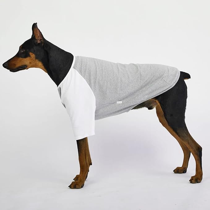 Dog Shirt for Small and Large Dogs Raglan Cotton T-Shirts Soft Breathable Dog Shirts pet Clothes Gray Series (3X-Large, Gray/White)