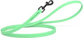 Dogline Biothane Waterproof Dog Leash Strong Coated Nylon Webbing with Black Hardware Odor-Proof Easy to Clean High Performance for Small or Large Dogs Made in USA 4 or 6 ft Lead, Sea Foam Green