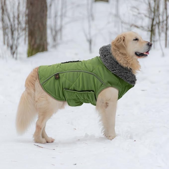 EMUST Winter Dog Coat for Medium Boys - Thick Clothes with Harness Hole for Cold Weather, Green, M