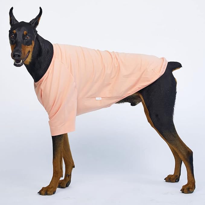 Dog Shirt for Small Dogs Plain T-Shirts Soft Breathable Dog Cotton Shirt pet Clothes (2X-Large, Peach)