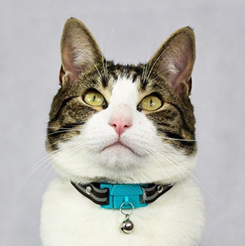 Kittyrama Havana Cat Collar with Bell. Cat Friendly Award Winner. Approved by Vets and Cat Experts. Breakaway Cat Collars Quick Release. Kitten Collar. Won't Rub Fur. Lightweight, Soft & Comfy