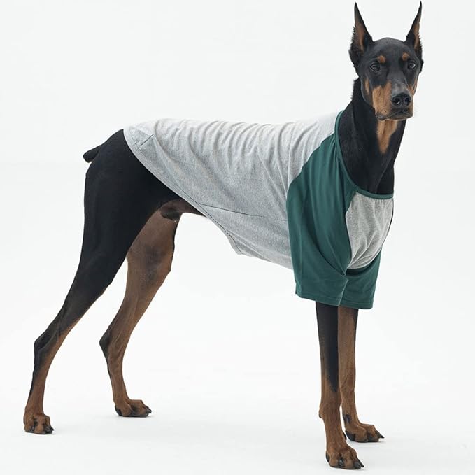 Dog Shirt for Small and Large Dogs Raglan Cotton T-Shirts Soft Breathable Dog Shirts pet Clothes Gray Series (5X-Large, Gray/Green)
