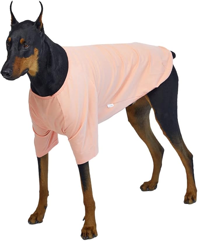 Dog Shirt for Small Dogs Plain T-Shirts Soft Breathable Dog Cotton Shirt pet Clothes (5X-Large, Peach)