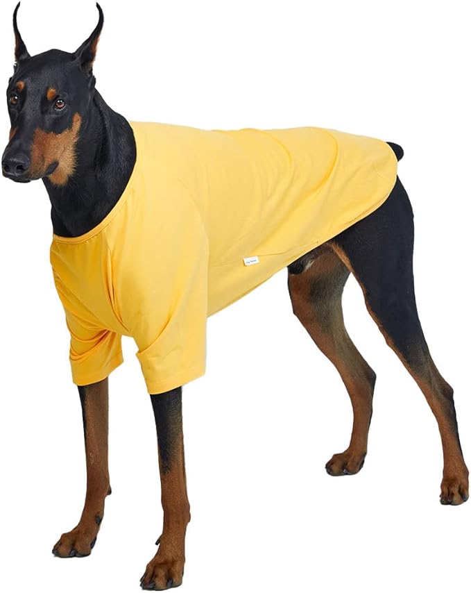 Dog Shirt for Small Dogs Plain T-Shirts Soft Breathable Dog Cotton Shirt pet Clothes (X-Large, Yellow)