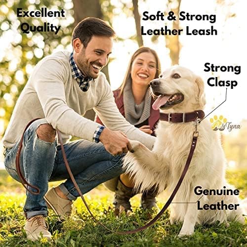 ADITYNA Leather Dog Leash 6 ft x 3/4 inch - Soft, Strong, Heavy Duty for Large & Medium Breeds - Dog Lead for Walking, Training, Hiking and Running (Brown)