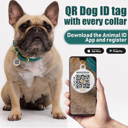BRONZEDOG Leather Dog Collar with QR ID Tag Basic Pet Collars for Small Mini Dogs Cats Puppies (7-9 Inch (Pack of 1), Light Brown & Gold Buckle)