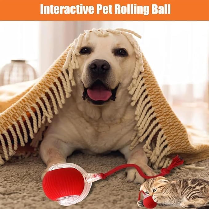 2025 New Electric Dog Ball Toy,Electric Ball Dog Toy for Cat,360° Smart Automatic Interactive Rolling Dog Ball, Smart Interactive Pet Toy Ball,Automatic Dog Toy,Interactive Dog Toys,Gift for Kids
