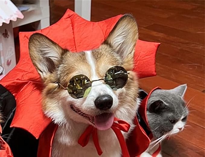 Halloween Pet Cape | Vampire King Dog Halloween Costume, Cat Halloween Costume Outfit, Funny Dog Dress Up for Small Dogs, Cats, Puppies, Kittens, Pet Halloween Clothes for Parties & Photos